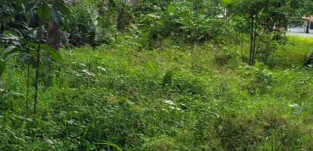 Fazenda / Sítio / Chácara com 3 Quartos à venda, 100m² no , Itapecuru Mirim