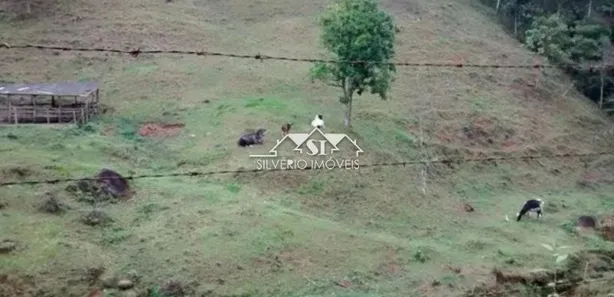 Fazenda / Sítio / Chácara com 3 Quartos à venda, 247m² no Mantiquira, Duque de Caxias