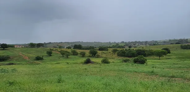 Fazenda / Sítio / Chácara com 4 Quartos à venda, 5500000m² no Centro, Ielmo Marinho