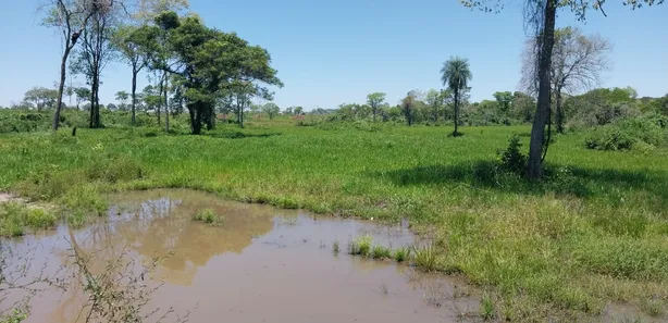 Fazenda / Sítio / Chácara com 3 Quartos à venda, 700000m² no , Anastácio