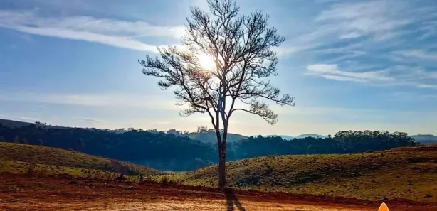 Terreno / Lote / Condomínio à venda, 600m² no Vila Romanópolis, Ferraz de Vasconcelos