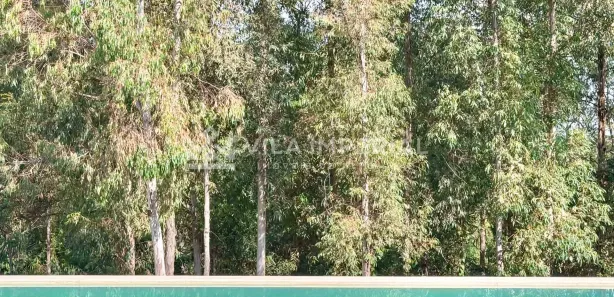 Casa de Condomínio com 5 Quartos à venda, 600m² no Condomínio Terras de São José, Itu