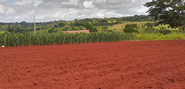 Fazenda / Sítio / Chácara à venda, 2000m² no Área Rural, Goianira
