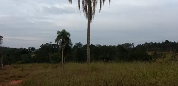 Fazenda / Sítio / Chácara com 3 Quartos à venda, 70m² no , Pilar do Sul