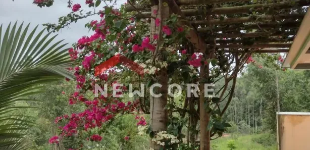 Fazenda / Sítio / Chácara com 2 Quartos à venda, 100m² no Centro, Mairinque