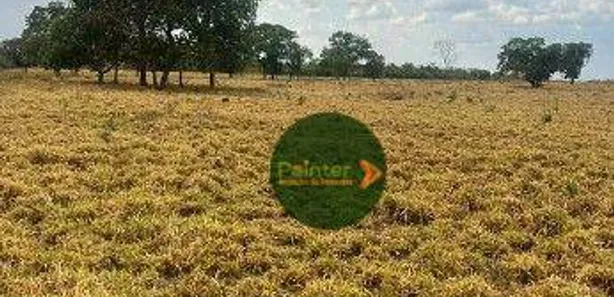 Fazenda / Sítio / Chácara à venda, 10009120m² no Vila Oeste, Paraíso do Tocantins
