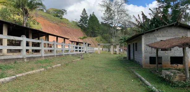 Fazenda / Sítio / Chácara com 15 Quartos à venda, 2500m² no , Mendes