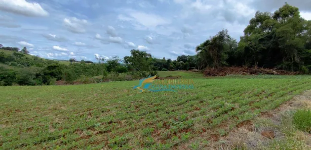 Fazenda / Sítio / Chácara à venda, 242000m² no , Guaraniaçu