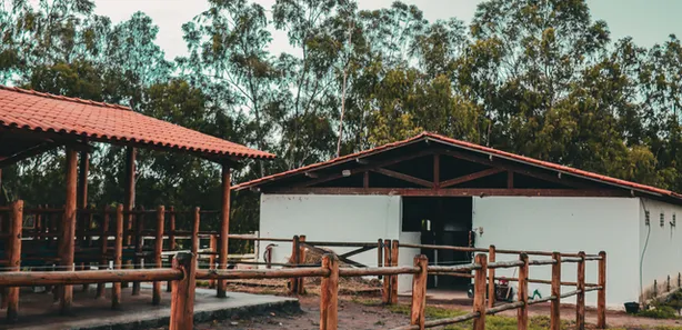 Fazenda / Sítio / Chácara à venda, 350000m² no Centro, Chã Grande