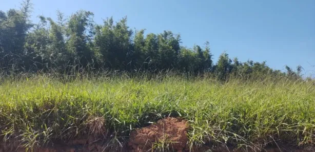 Fazenda / Sítio / Chácara à venda, 600m² no Portal da Igaratá, Igaratá