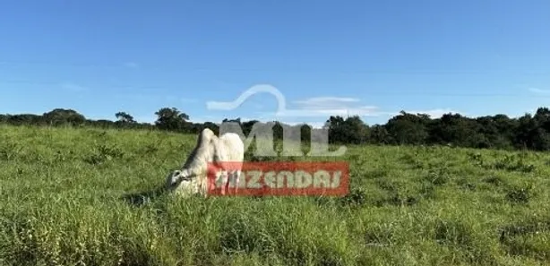 Fazenda / Sítio / Chácara à venda, 500m² no , Formoso do Araguaia