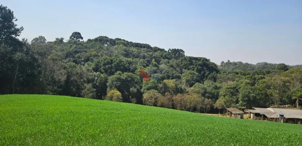 Fazenda / Sítio / Chácara com 1 Quarto à venda, 20000m² no Capela Velha, Araucária