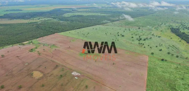 Fazenda / Sítio / Chácara à venda, 52270000m² no Javaés, Lagoa da Confusão