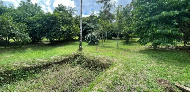 Fazenda / Sítio / Chácara com 2 Quartos à venda, 2100m² no Balneario Gaivotas, Itanhaém
