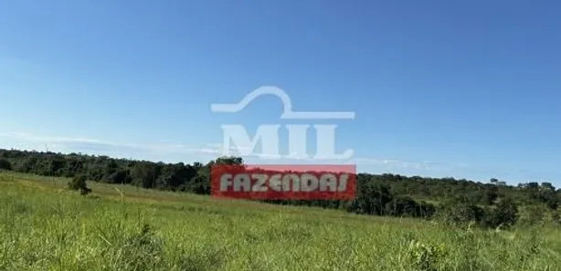 Fazenda / Sítio / Chácara à venda, 500m² no , Formoso do Araguaia