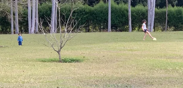 Fazenda / Sítio / Chácara com 3 Quartos à venda, 200m² no , Sarapuí
