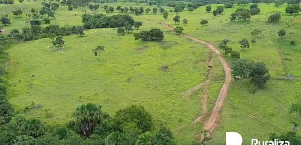 Fazenda / Sítio / Chácara à venda, 91m² no , Guaraí
