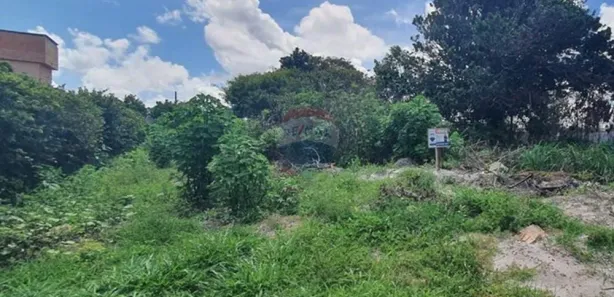 Terreno / Lote / Condomínio à venda, 555m² no , Pitimbu