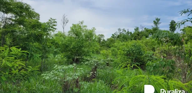 Fazenda / Sítio / Chácara à venda, 1113m² no , Rio Sono