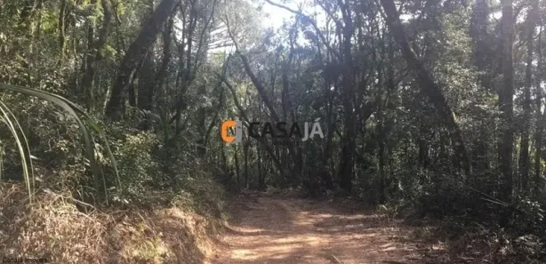 Fazenda / Sítio / Chácara com 1 Quarto à venda, 100m² no , Contenda