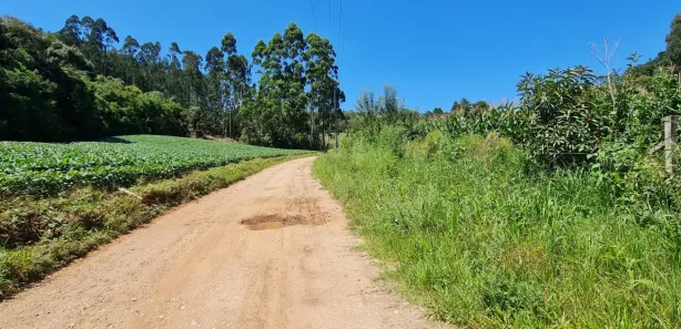 Terreno / Lote / Condomínio à venda, 24200m² no Centro, Campo Magro