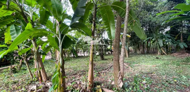 Terreno / Lote / Condomínio à venda, 1000m² no Aldeia dos Camarás, Camaragibe