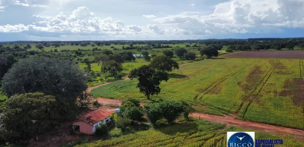 Terreno / Lote / Condomínio à venda, 1243m² no Setor Central, Formoso do Araguaia