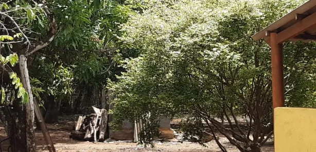 Fazenda / Sítio / Chácara com 2 Quartos à venda, 10000m² no Centro, Padre Bernardo