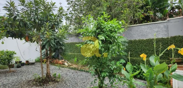 Casa com 2 Quartos para alugar, 85m² no Velha, Blumenau
