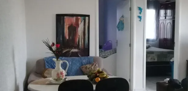 Apartamento com 2 Quartos à venda, 49m² no Parque Boa Esperança, São Paulo