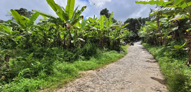 Terreno / Lote / Condomínio à venda, 20000m² no Pacoti, Pacoti
