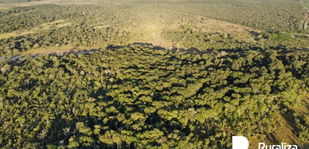 Fazenda / Sítio / Chácara à venda, 590m² no , Pium