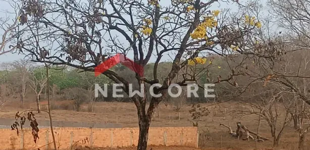 Terreno / Lote / Condomínio à venda, 1800m² no Centro, Pedro Leopoldo