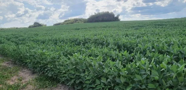 Fazenda / Sítio / Chácara à venda, 8760400m² no , Santa Maria do Tocantins