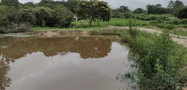 Terreno / Lote / Condomínio à venda, 20000m² no , Fortuna de Minas