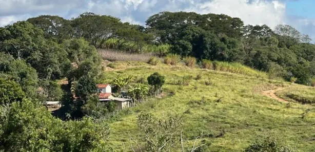 Fazenda / Sítio / Chácara com 2 Quartos à venda, 1000m² no Saboó, São Roque