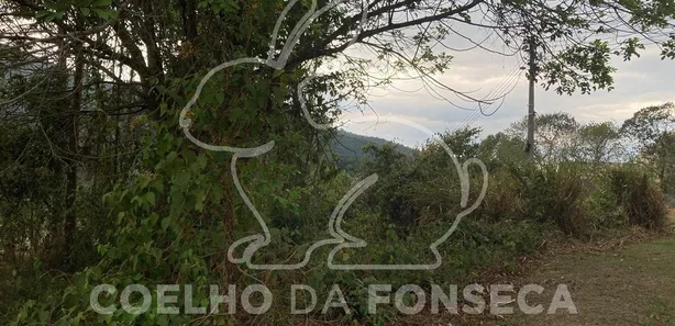 Terreno / Lote / Condomínio à venda, 2798m² no , Araçariguama