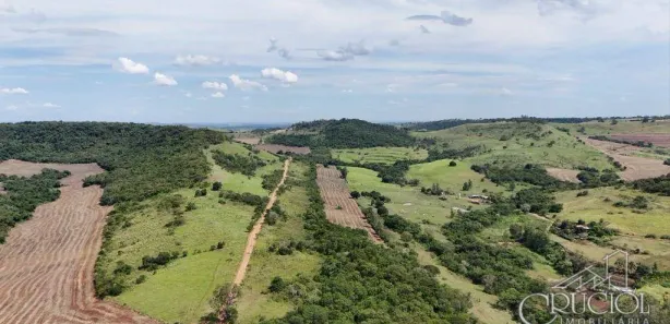 Fazenda / Sítio / Chácara à venda, 500698m² no Pinheiro, Ibiporã