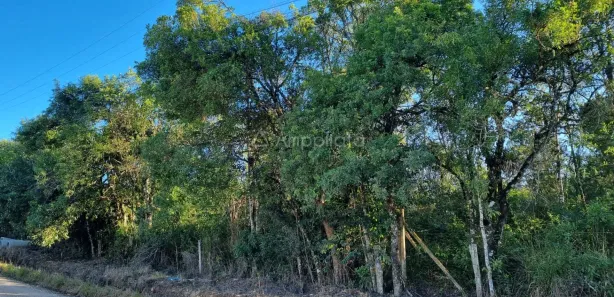 Fazenda / Sítio / Chácara à venda, 2326m² no Chacaras Olhos D Agua, Campina Grande do Sul