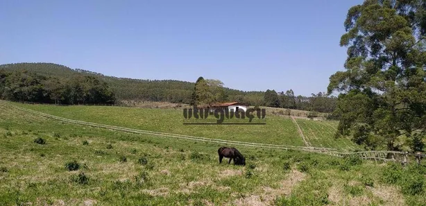 Fazenda / Sítio / Chácara à venda, 556600m² no , Piedade