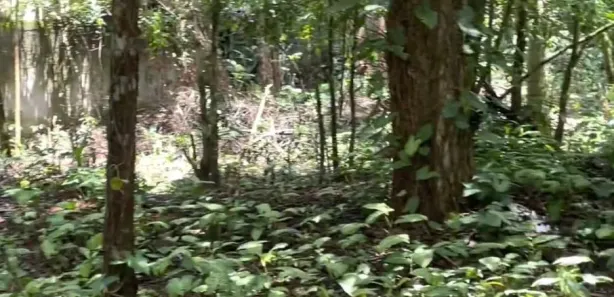Terreno / Lote / Condomínio à venda, 583m² no Maresias, São Sebastião