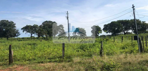 Fazenda / Sítio / Chácara com 3 Quartos à venda, 320m² no Residencial Jardim América, Gurupi