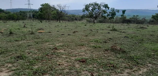 Fazenda / Sítio / Chácara com 2 Quartos à venda, 490000m² no Área Rural de Novo Gama, Novo Gama