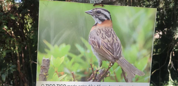 Terreno / Lote / Condomínio à venda, 960m² no Jardim dos Ipês, Embu das Artes