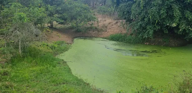 Fazenda / Sítio / Chácara com 3 Quartos à venda, 14000000m² no Riachão, Caruaru