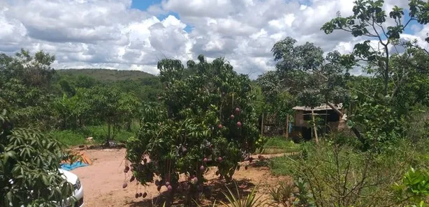 Fazenda / Sítio / Chácara com 2 Quartos à venda, 20000m² no , Brasília