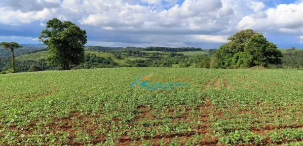 Fazenda / Sítio / Chácara à venda, 219000m² no , Catanduvas