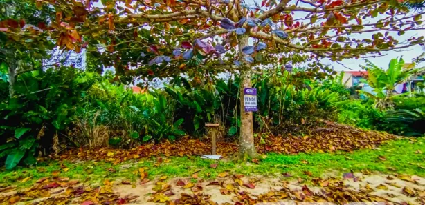 Terreno / Lote / Condomínio à venda, 300m² no Praia do Ervino, 