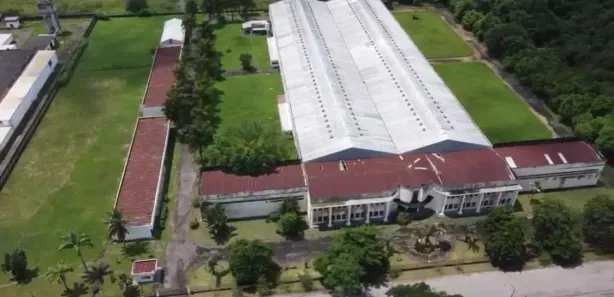 Galpão / Depósito / Armazém para alugar, 13000m² no Mantiquira, Duque de Caxias