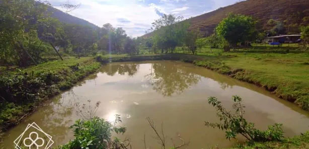 Fazenda / Sítio / Chácara com 3 Quartos à venda, 26000m² no Arrozal, Piraí